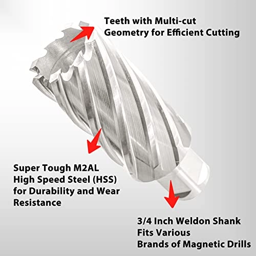 Annular Cutter - High Speed Steel (HSS) 1Pc 1-1/4"