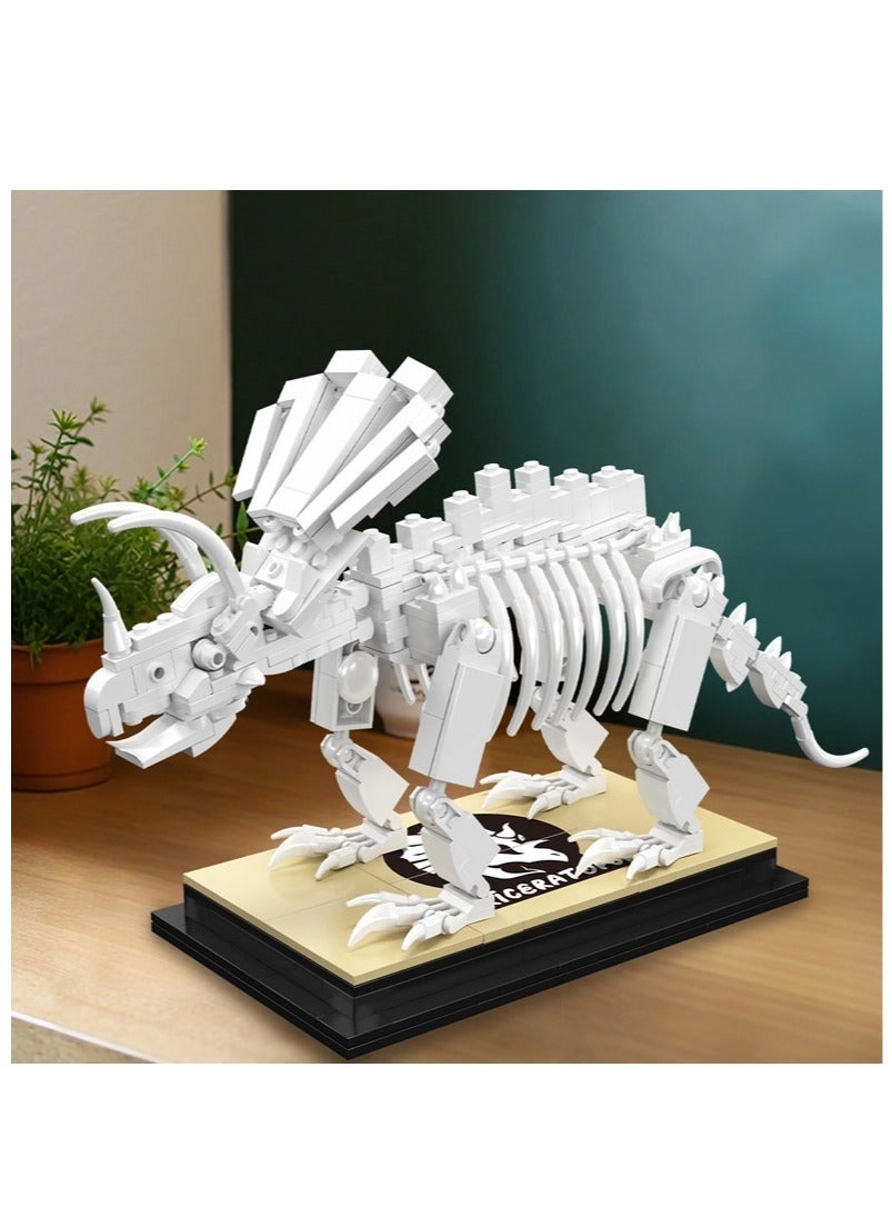 Dinosaur Triceratops Fossil Model - 8 years+