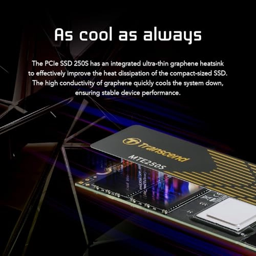 MTE250S - 1 TB M.2