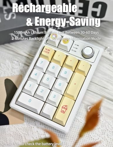 K19-IS-Do - creamy sounding linear Ice switches