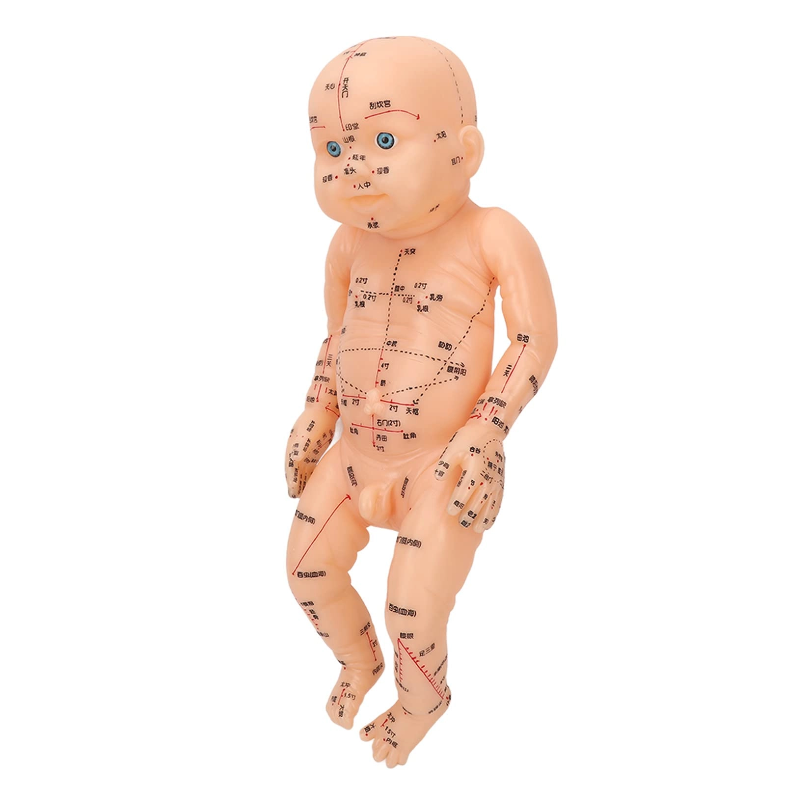 Acupoint children model