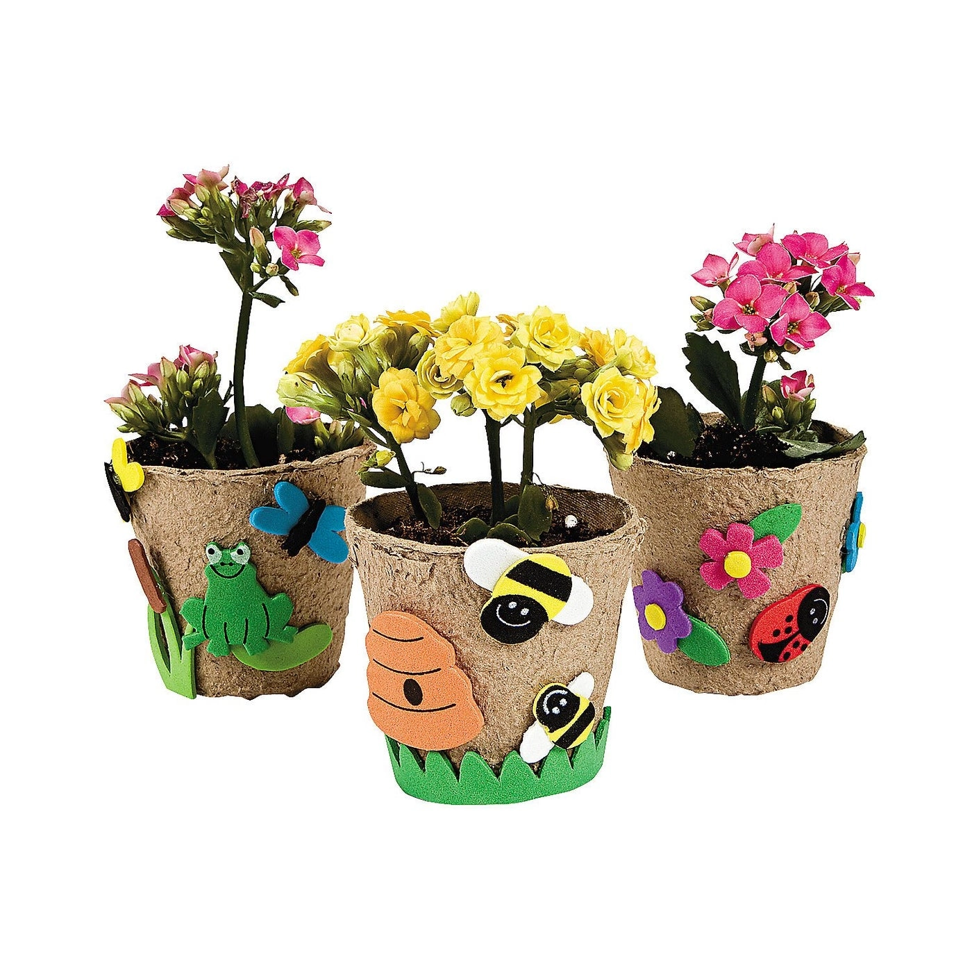 Garden Pot Craft Kit - 12 piece(s)