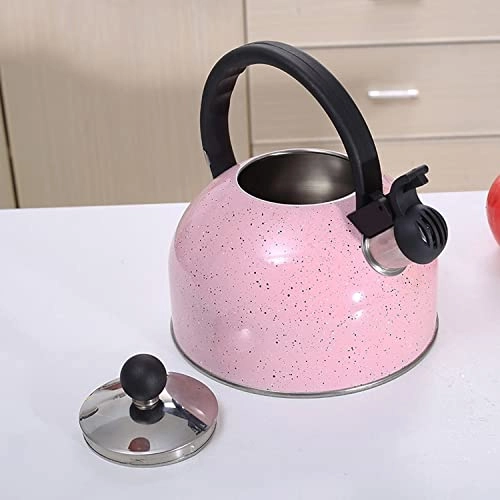 Stainless Steel Kettle - 2.5L