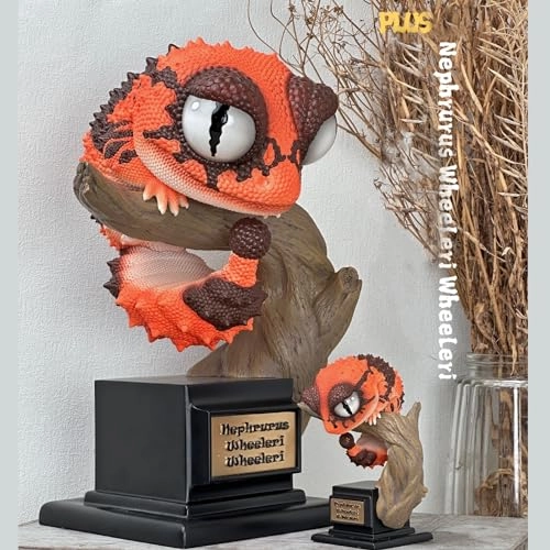 Gecko - Nephrurus Wheeleri Wheeleri (BWZ-SG)