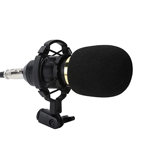 USB Microphone USB Microphone