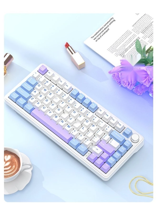 AK820PRO - EN Wired/Wireless