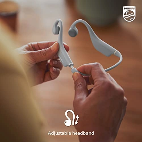 TAK4607GY/00 Wireless Headphone