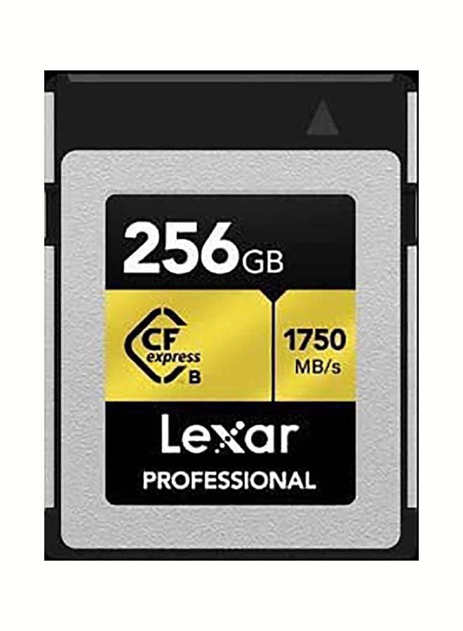 Professional Cfexpress Type B - 256GB