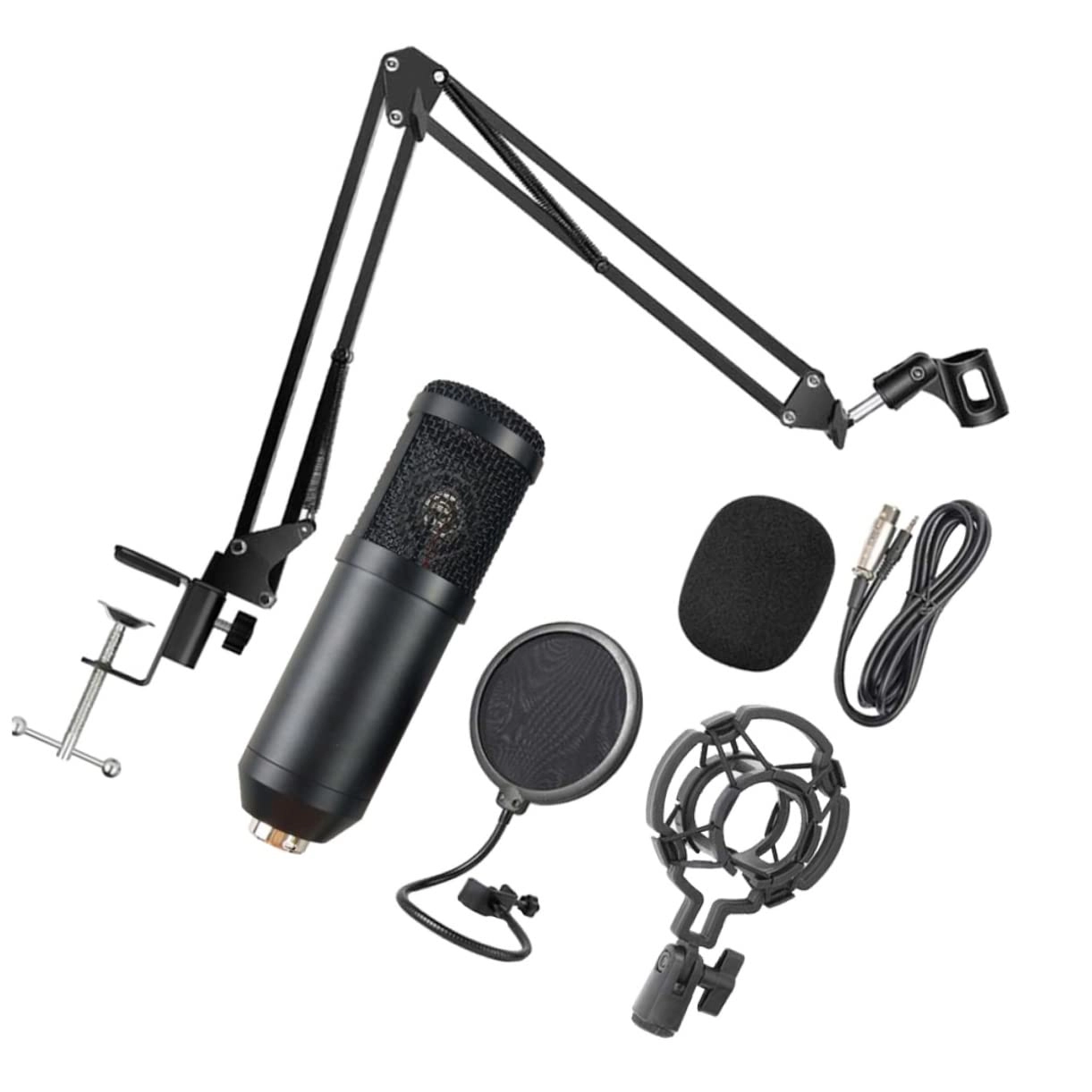 ibasenice Live Streaming Wireless Microphone