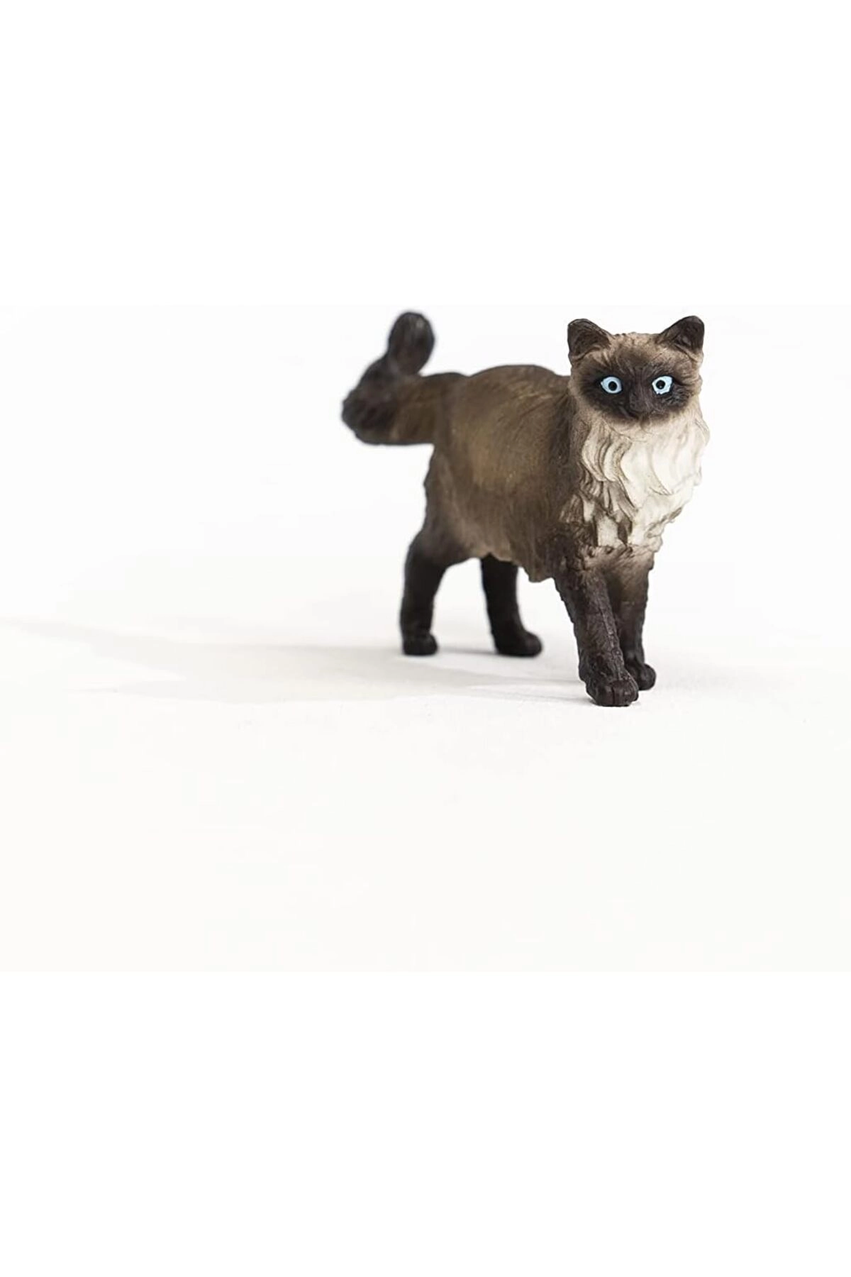 Ragdoll Cat - 3yr 1 Piece