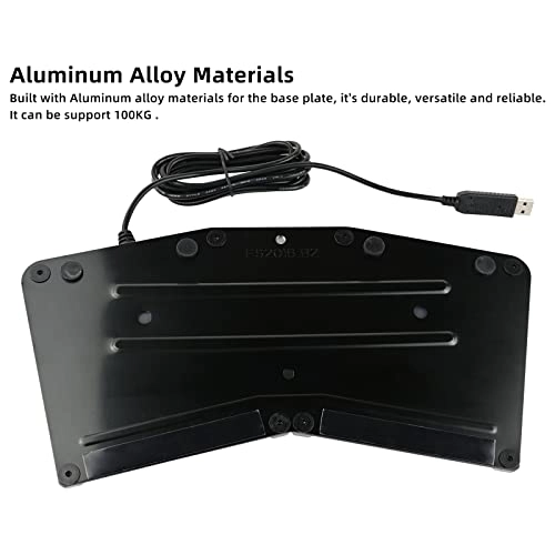 USB Double Switch Pedal Assembly