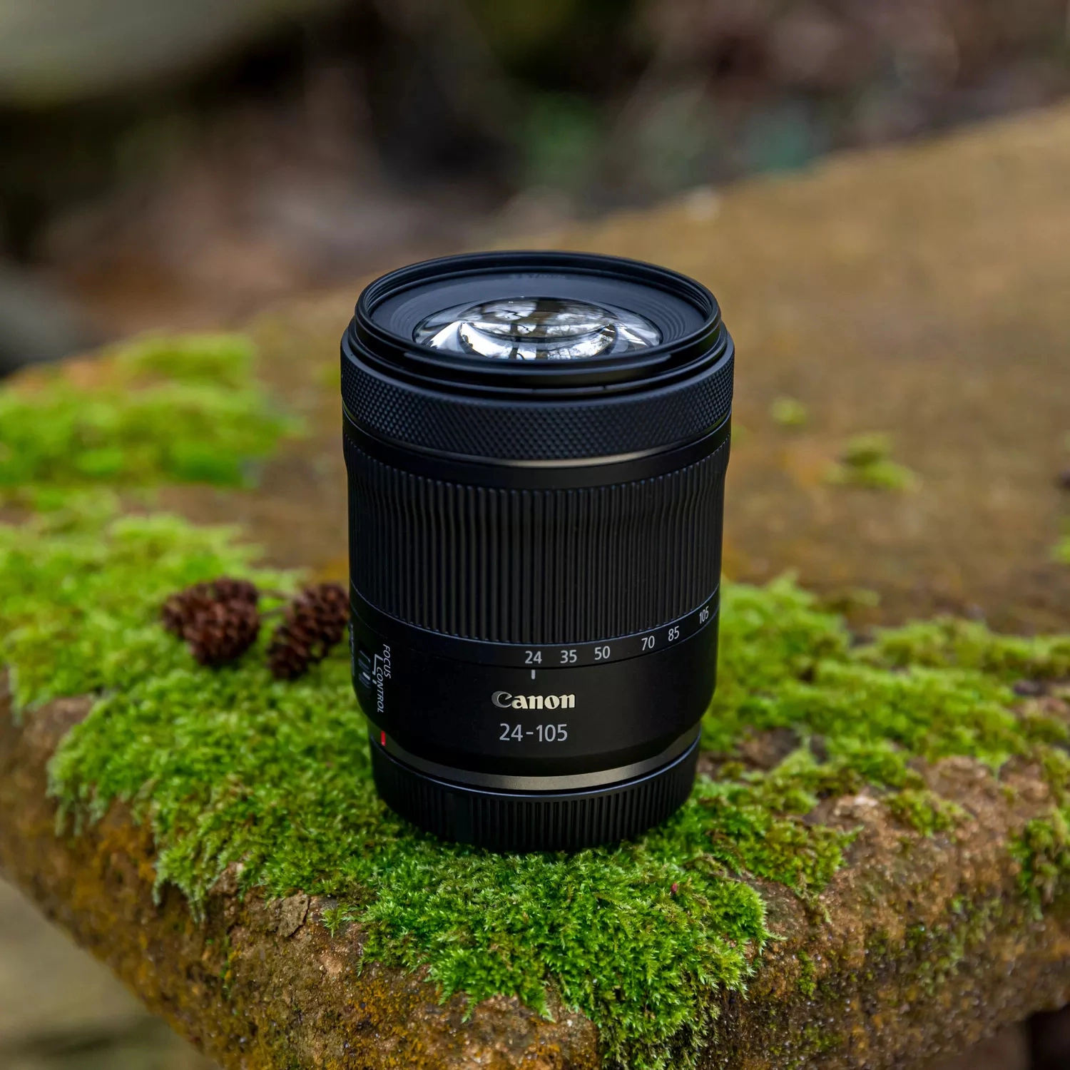 EOS R8 - 24.2MP + RF 24-105mm F4-7.1 IS STM