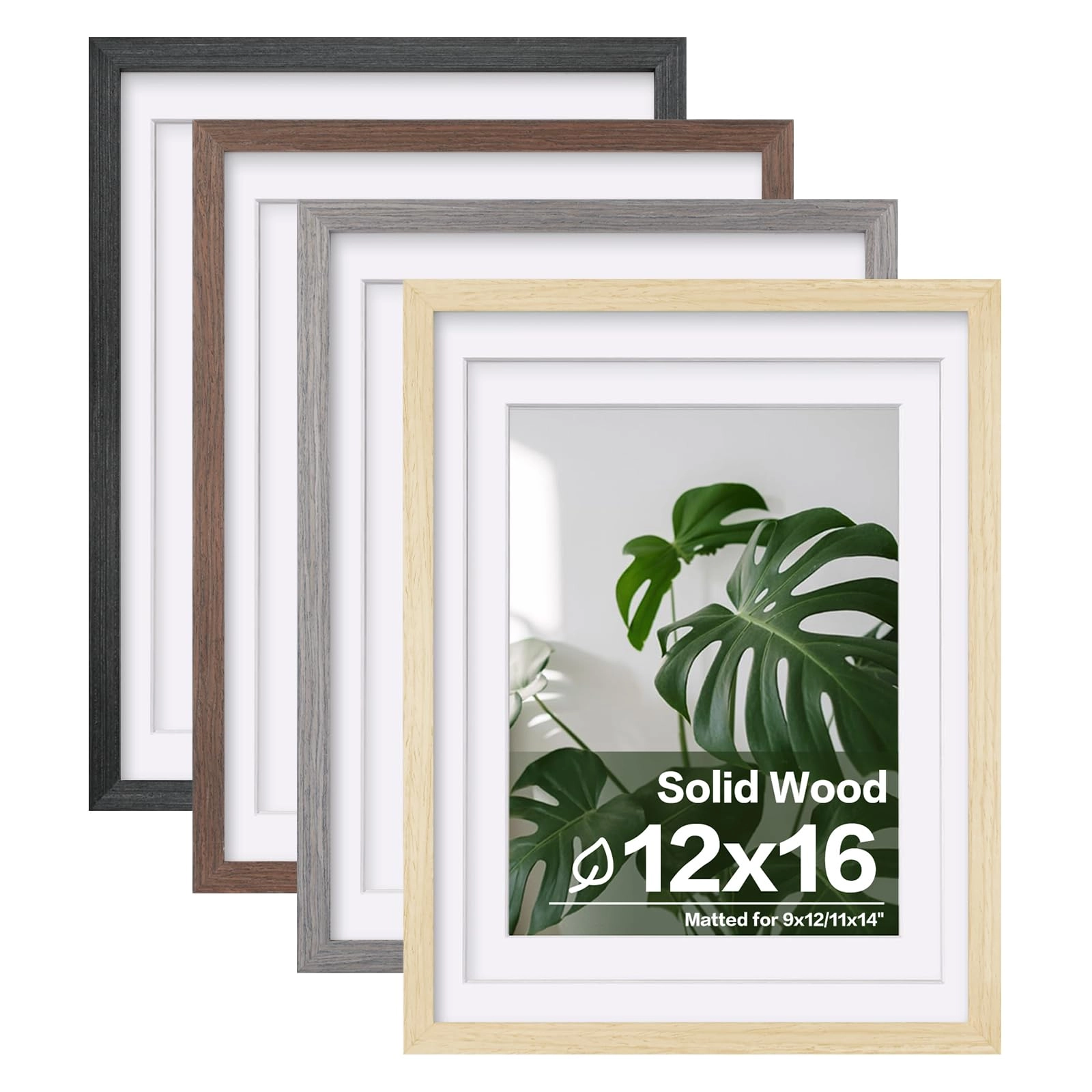 picture frames - 12x16