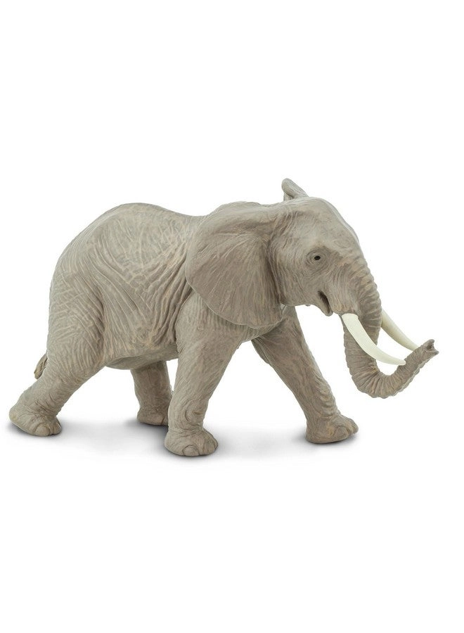 Wildlife - African Elephant