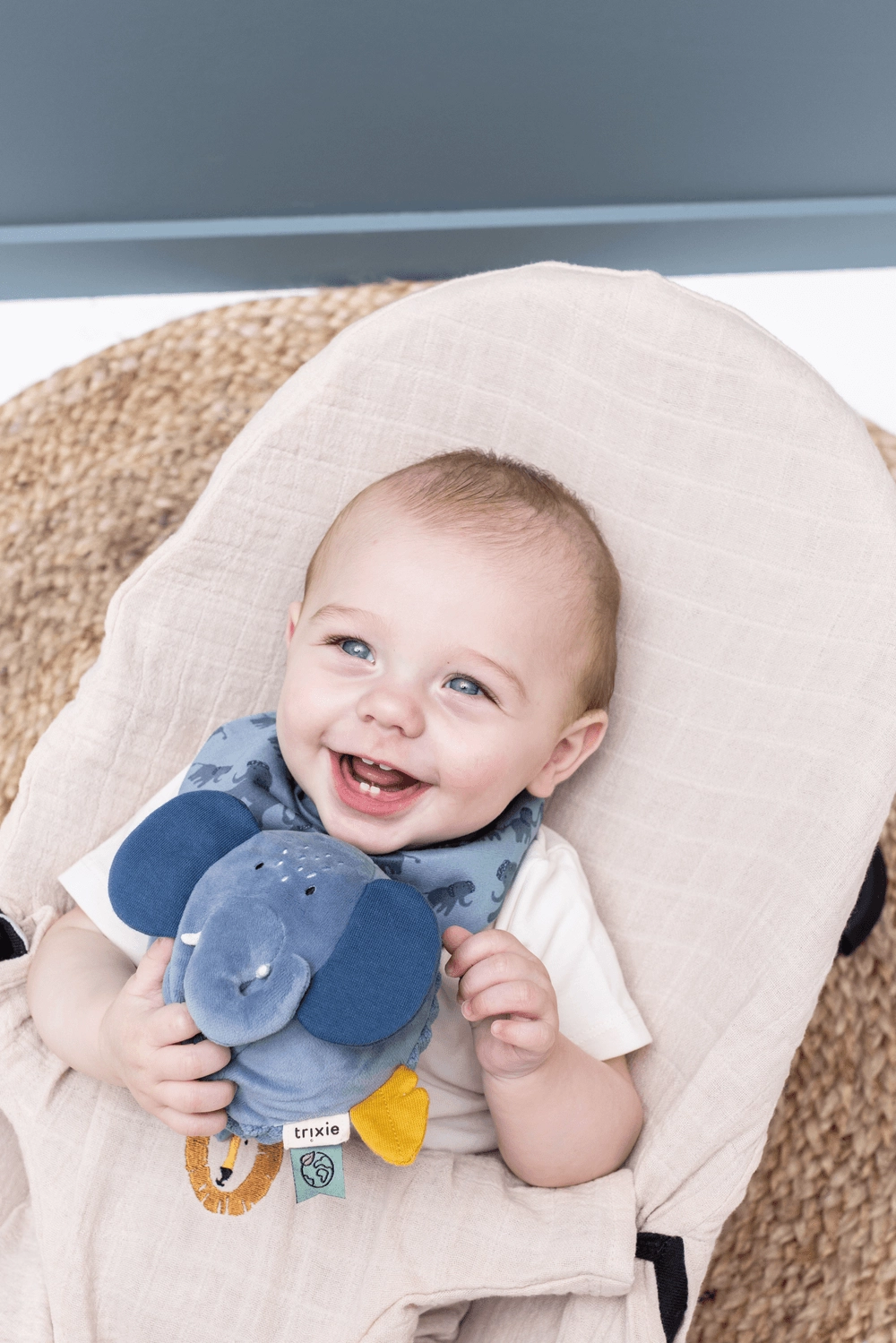 Sound Ball - Suitable for 6 months and above