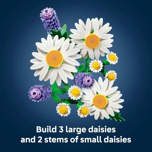 Daisies (11508)