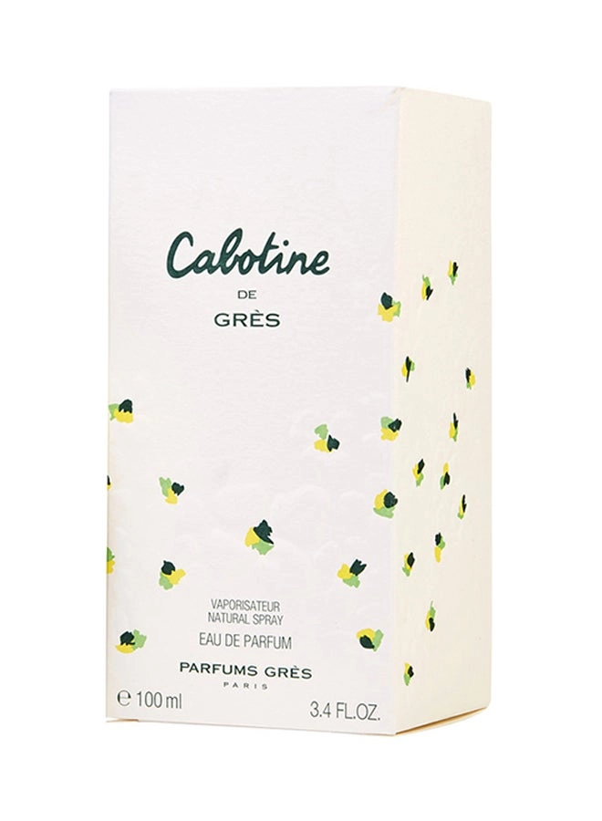 Eau de Parfum - 100ml