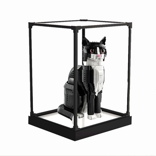 Acrylic Display Case - 1 Lego 21349