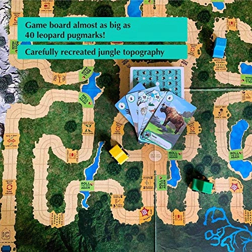 The BIG GAME to Discover Bhutan's Wild Animals