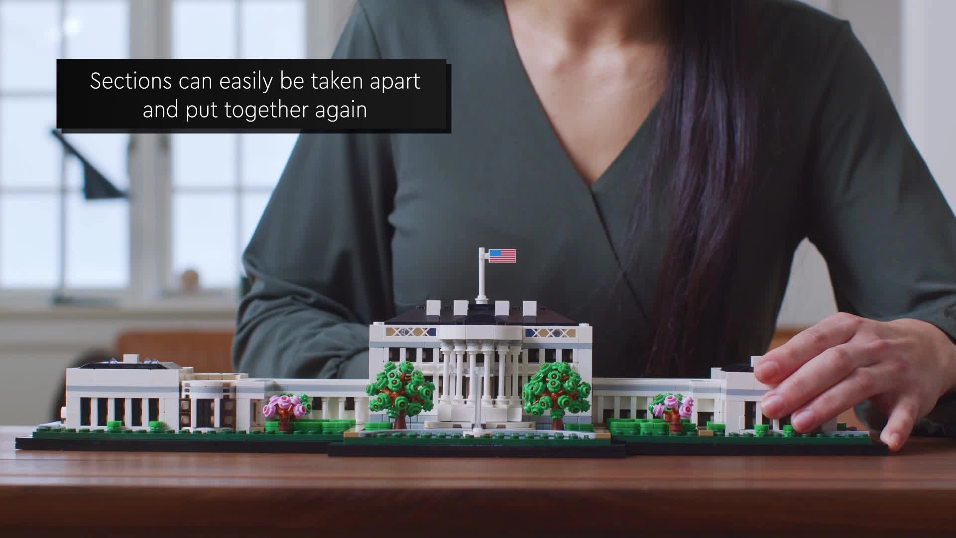 Architecture The White House (21054) - 18+ Multicolor