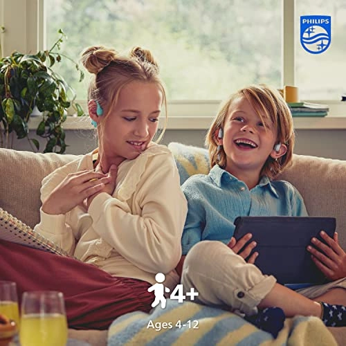 TAK4607GY/00 Wireless Headphone