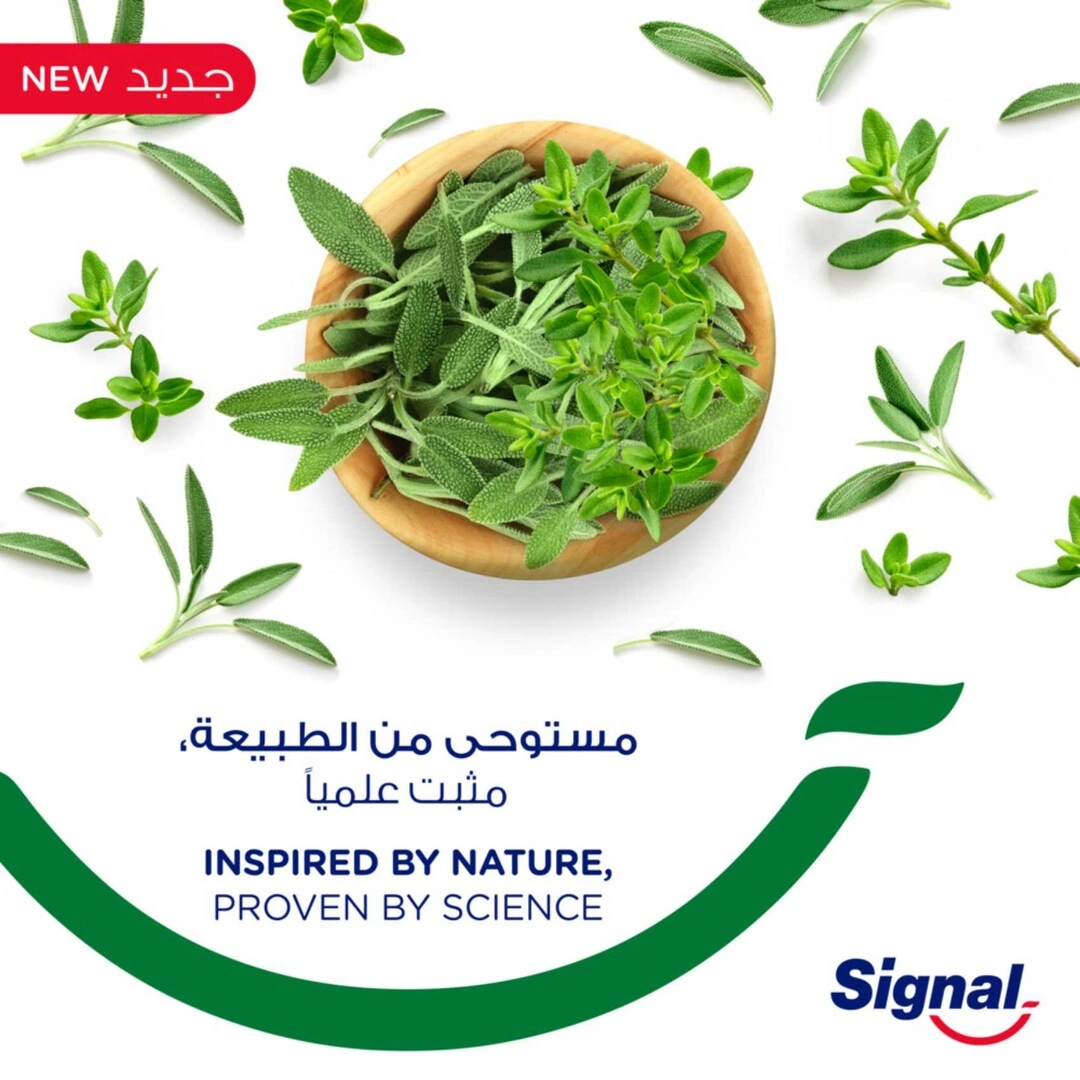 Complete 8 Herbal Thyme and Sage Toothpaste 75ml