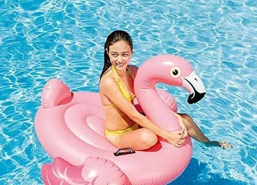 Flamingo Ride-On - Pink 14+
