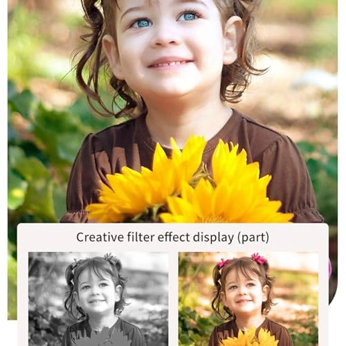 1eg0sd87wz-13 - 24MP 1080P 2.4" Screen