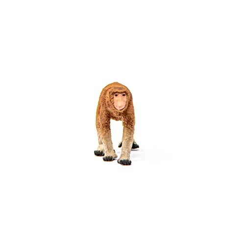 Proboscis Monkey - Wild Life - 3 anni