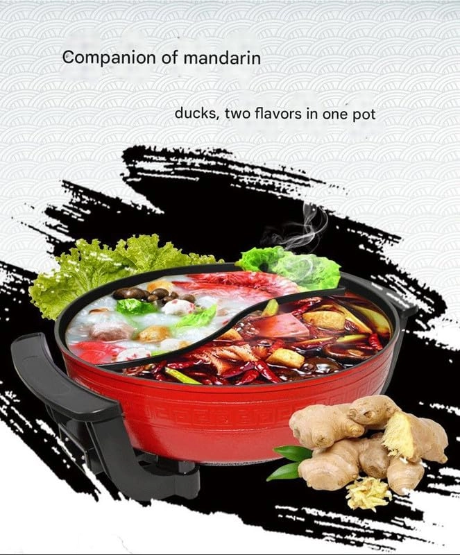 Electric Griddle Skillet - 2 zone(s)