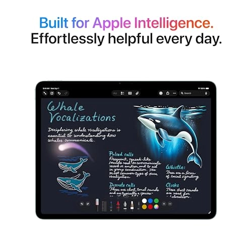 iPad Air 13" (M4) Wi-Fi 256GB