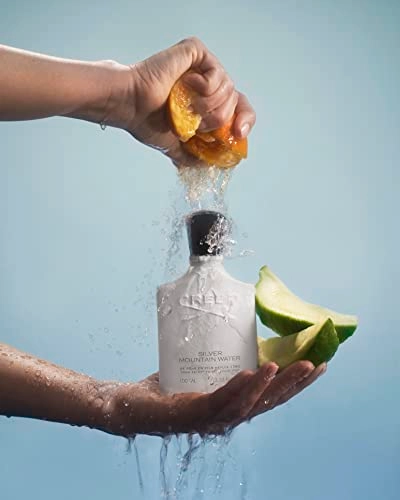 Silver Mountain Water Eau de Parfum 50 ml