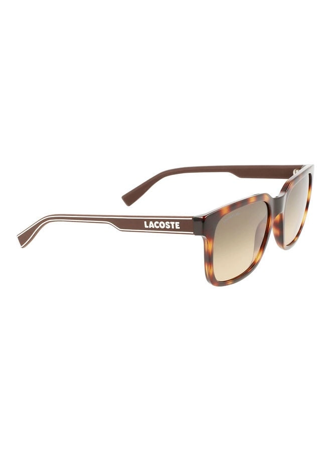 L967S - 55 mm Gradient Brown