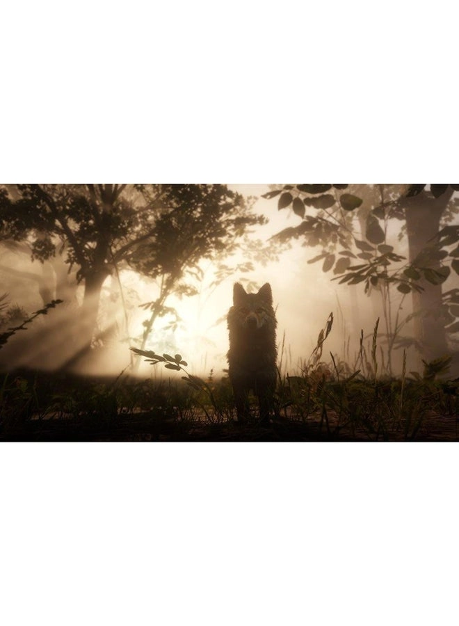 Red Dead Redemption 2 Intl Version - Xbox One