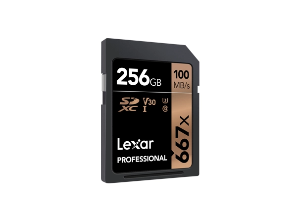 UHS-II PROFESSIONAL SD CARD - 256GB