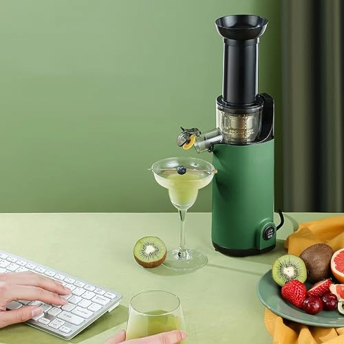 masticating juicer - 120W