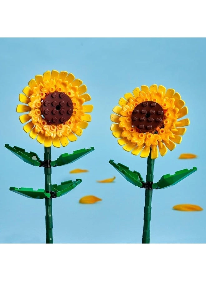 Sunflowers (40524)