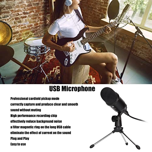 HLPFXXLHV USB Microphone