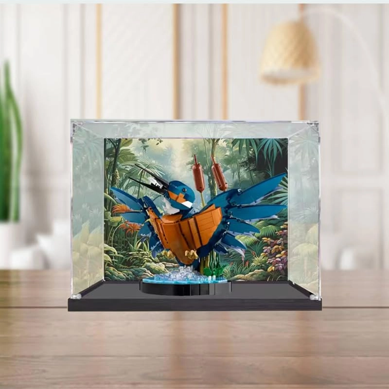 Display Case (10331) - Clear Acrylic Black Bottom+background