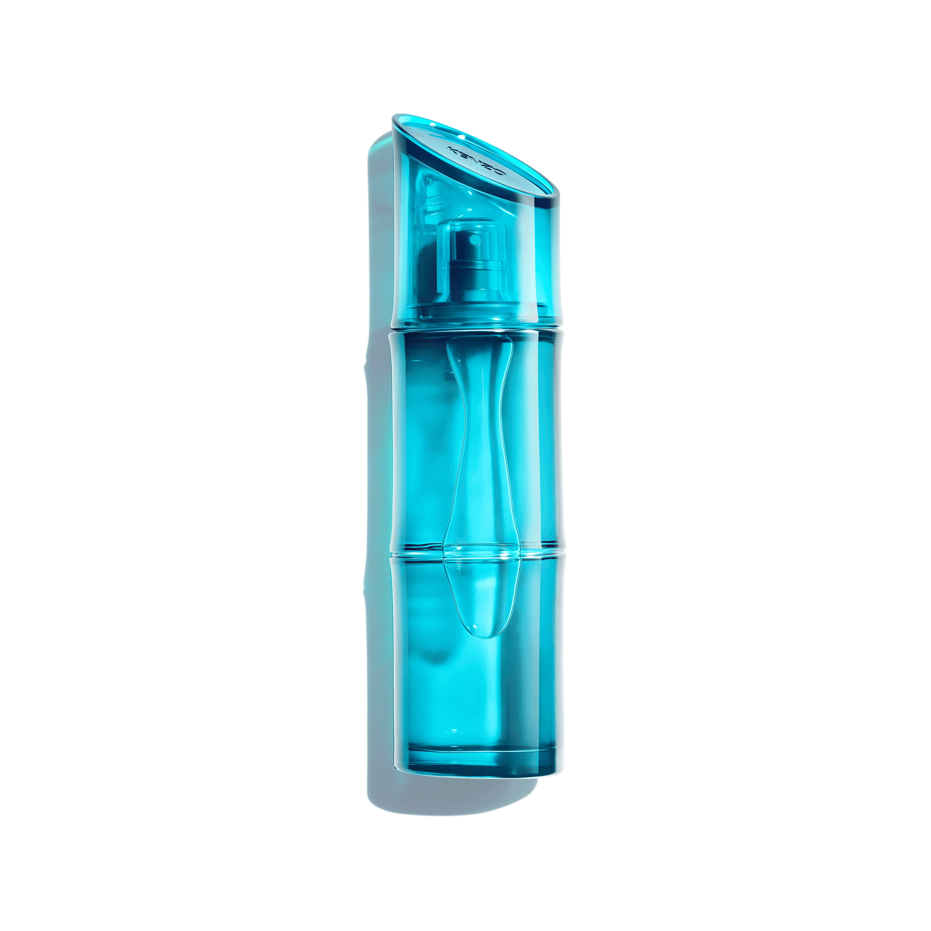 Homme Eau de Toilette 110ml