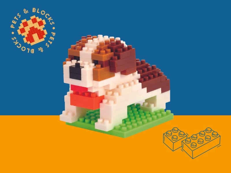 St Bernard - 101 pcs