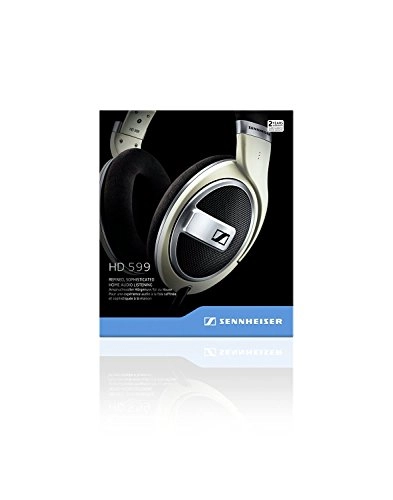 HD599 Wired Headphone