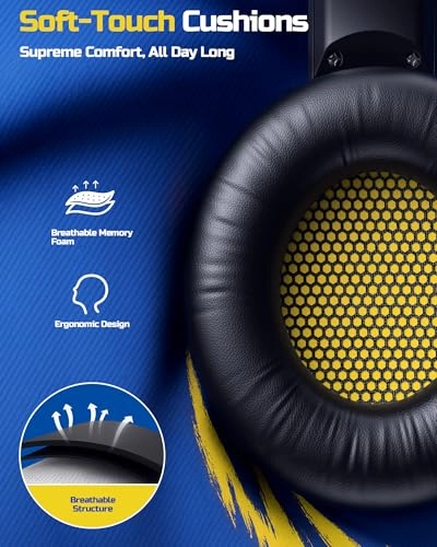 BW02-BT Wireless Headset