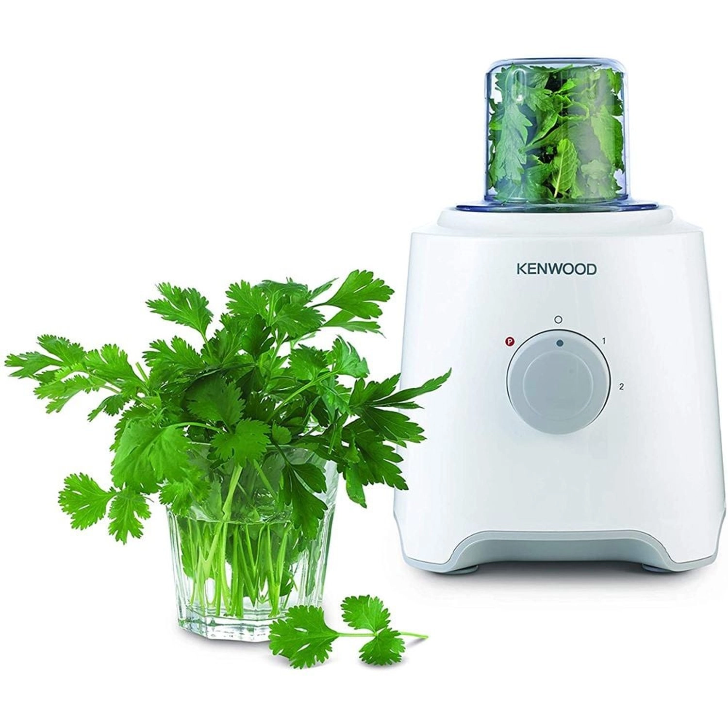 BLP304 - Blender White 2 speeds Pulse function