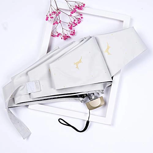 Light Emitting Diode Strip - 50CM 1M 2M 3M 4M 5M