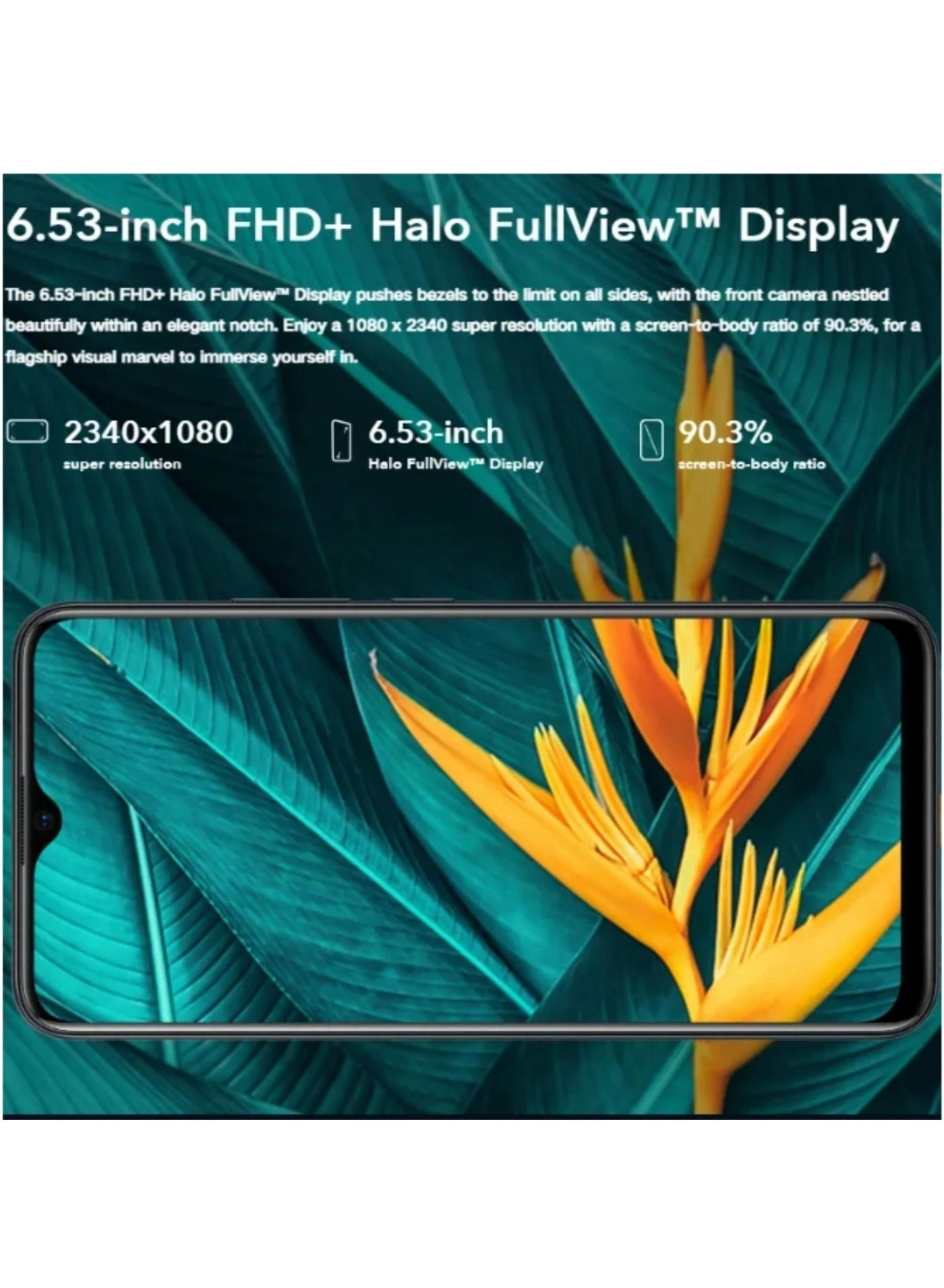 Y19 - 8 GB 256 GB