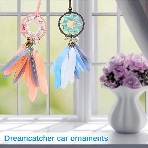 Dreamcatcher - Siderosphere, feathers, lines, wood beads.