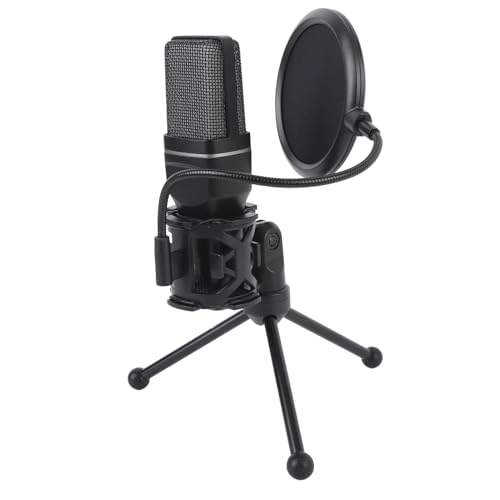 Annadues6425axq0n USB+Wireless Microphone