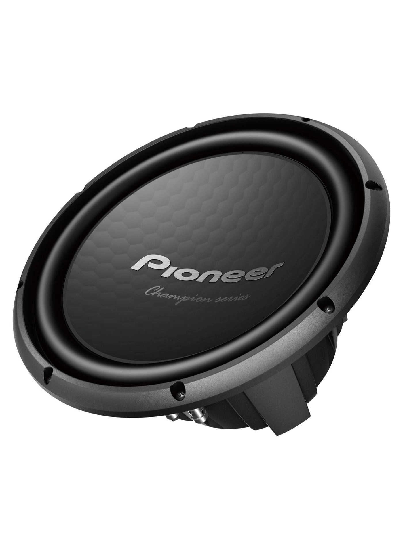 TS-W32D4 - 400 W NOM. 12 inch