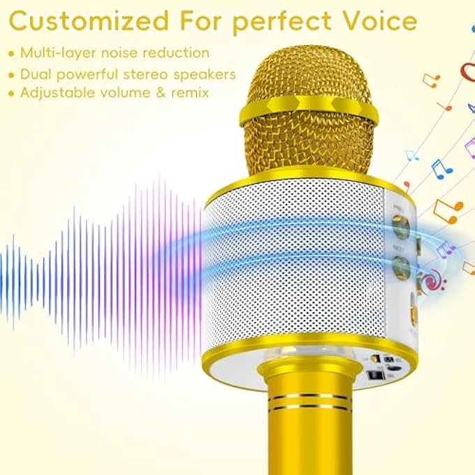 WIRELESS BLUETOOTH MICROPHONE